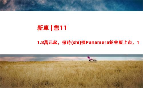 新車 | 售111.8萬元起，保時(shí)捷Panamera鉑金版上市，11月17日亮相